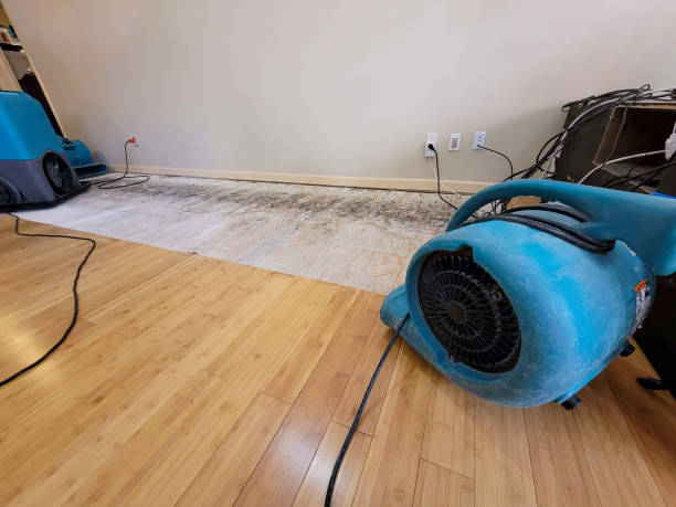 Professional Water Removal technician working in Petrolia, PA